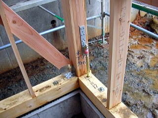 �v���̖ڂł�������ė�