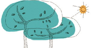 �R�R�`�悢��